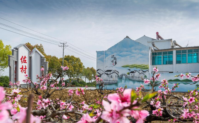 詩意鄉村“錫”居地這樣建！無錫農村人居環境整治省內率先